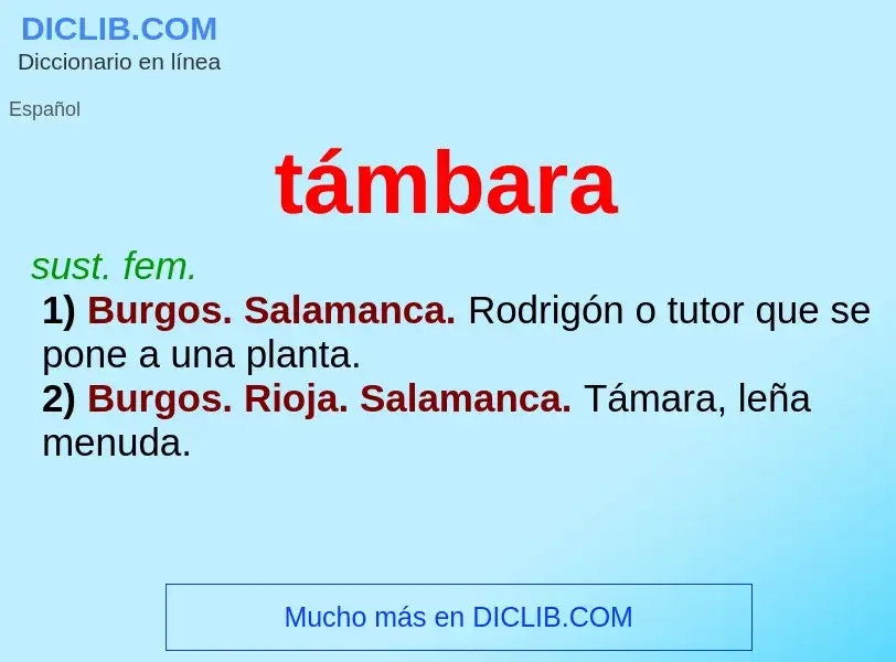 Wat is támbara - definition