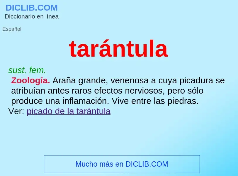 ¿Qué es tarántula? - significado y definición