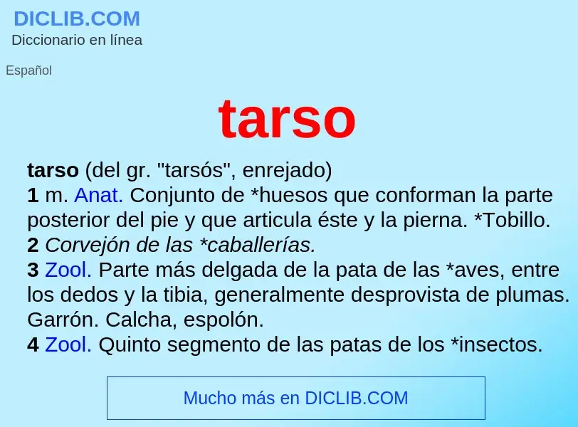 Wat is tarso - definition