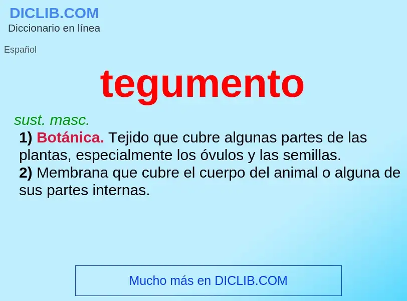 What is tegumento - definition