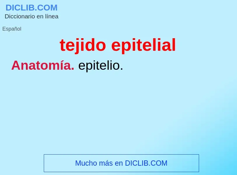 O que é tejido epitelial - definição, significado, conceito