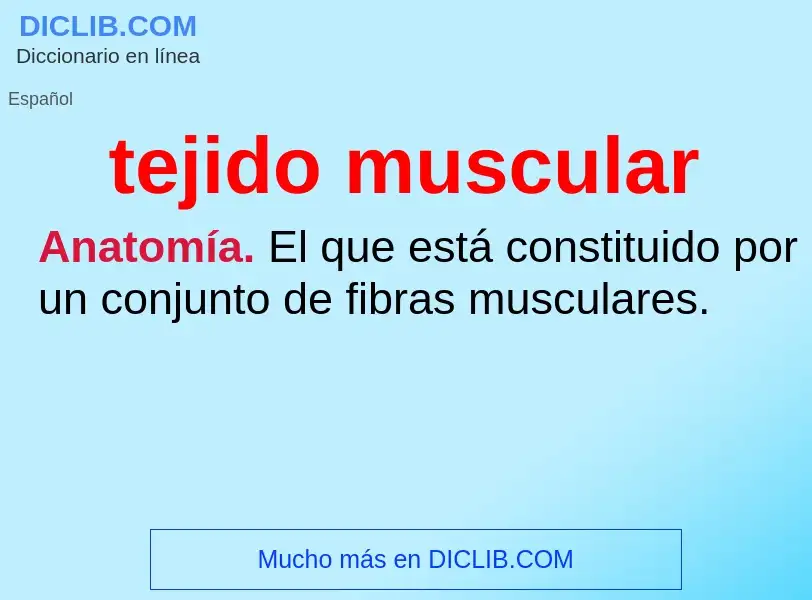 O que é tejido muscular - definição, significado, conceito