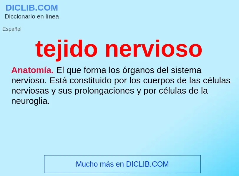 O que é tejido nervioso - definição, significado, conceito