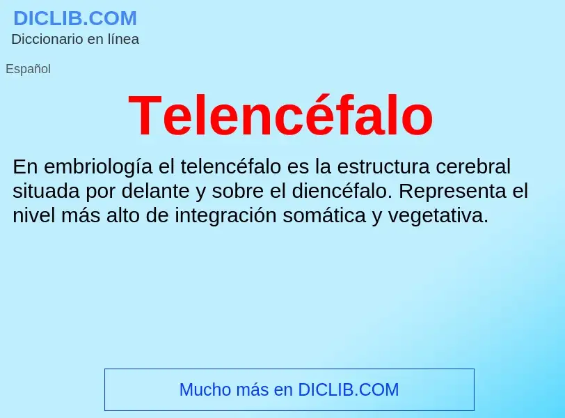 ¿Qué es Telencéfalo? - significado y definición