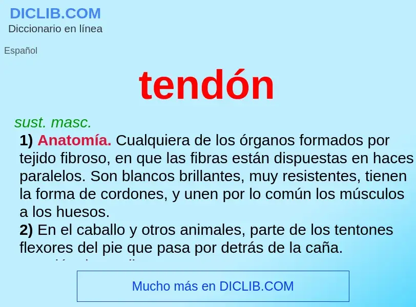 ¿Qué es tendón? - significado y definición