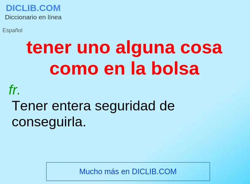 What is tener uno alguna cosa como en la bolsa - definition