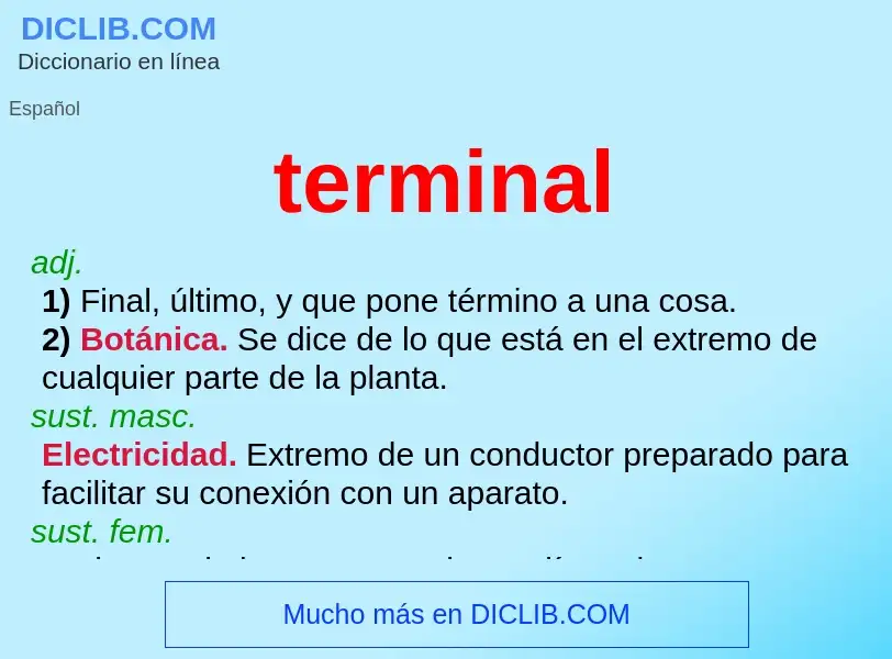 Che cos'è terminal - definizione