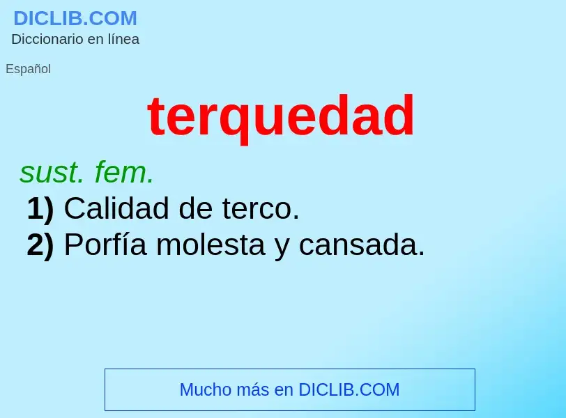 What is terquedad - definition