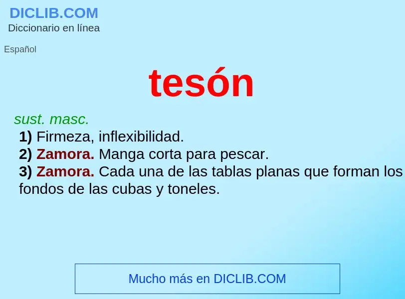 What is tesón - definition