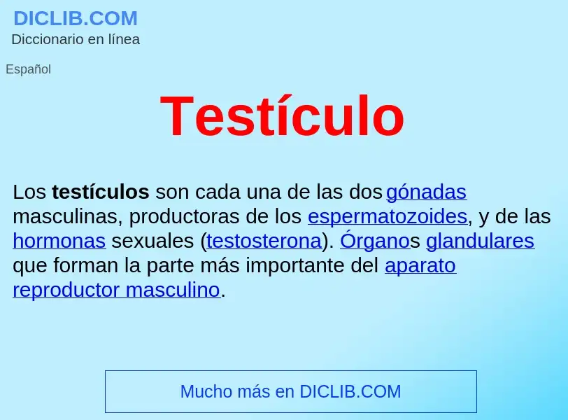 What is Testículo  - meaning and definition