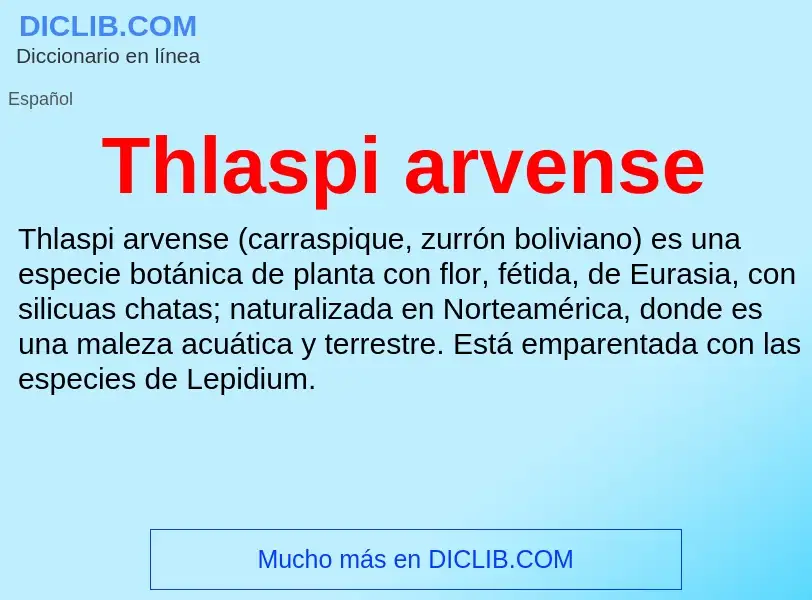 What is Thlaspi arvense - definition