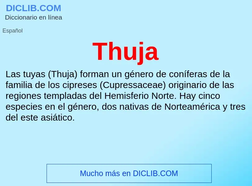 What is Thuja - meaning and definition