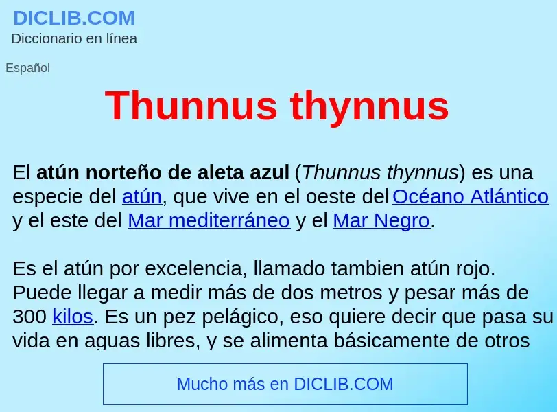 Che cos'è Thunnus thynnus  - definizione