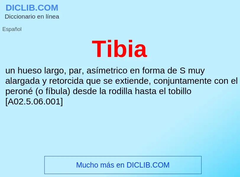 Wat is Tibia - definition