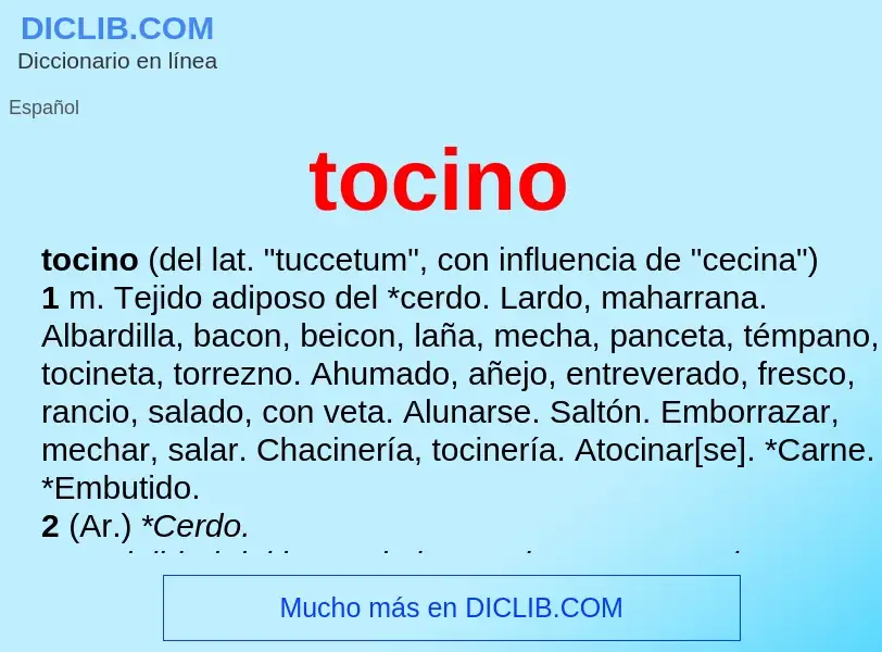 What is tocino - definition