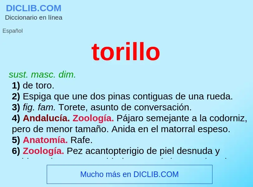 What is torillo - meaning and definition