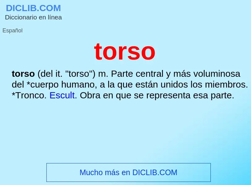 What is torso - meaning and definition