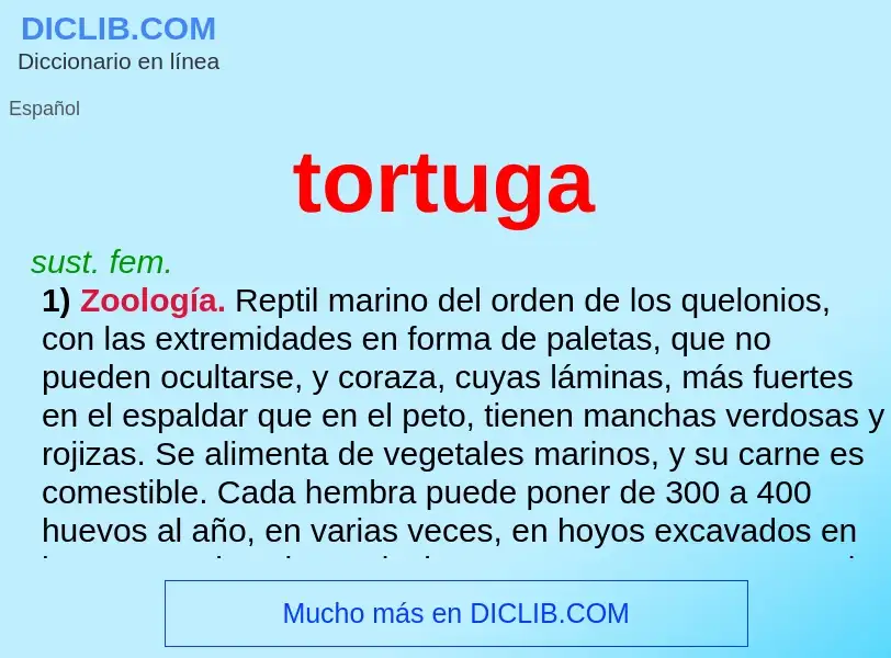 Was ist tortuga - Definition