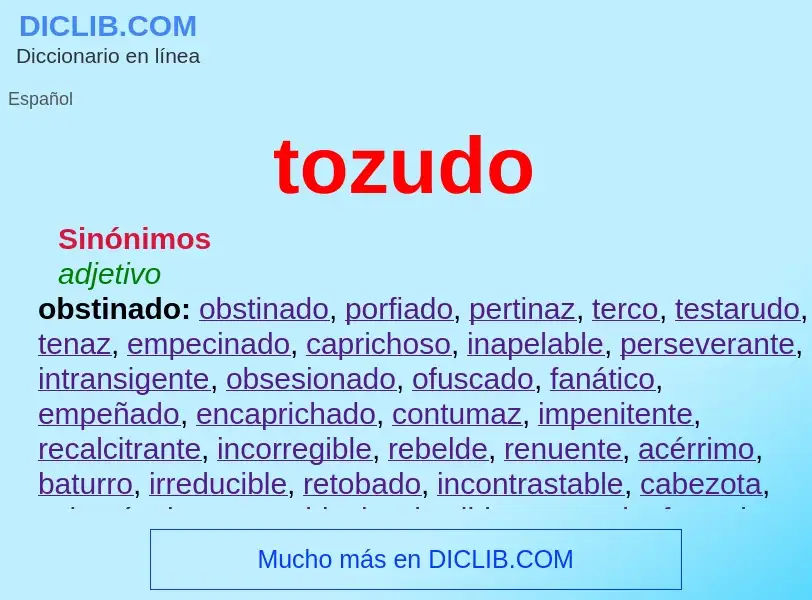 What is tozudo - definition