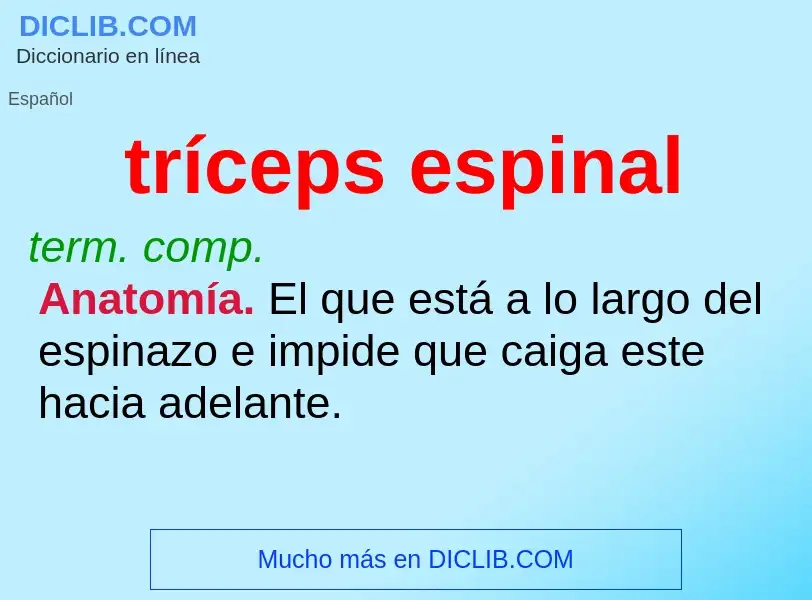 ¿Qué es tríceps espinal? - significado y definición