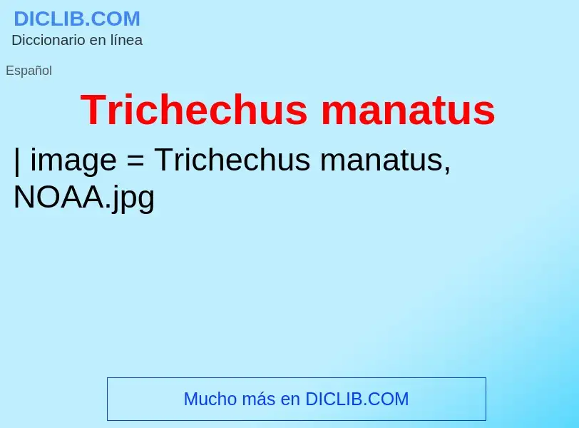 What is Trichechus manatus - definition