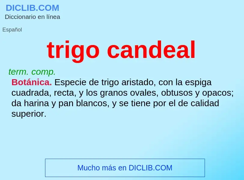 What is trigo candeal - definition