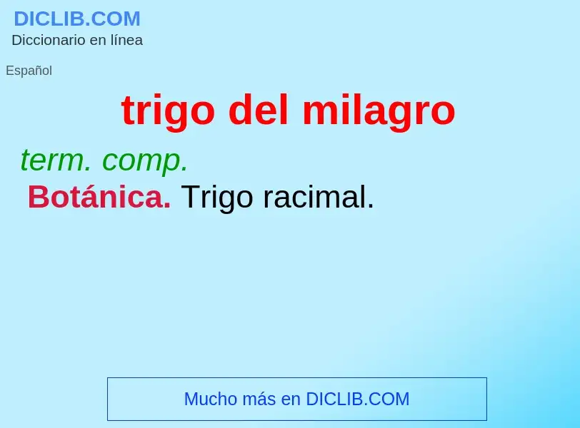 What is trigo del milagro - meaning and definition