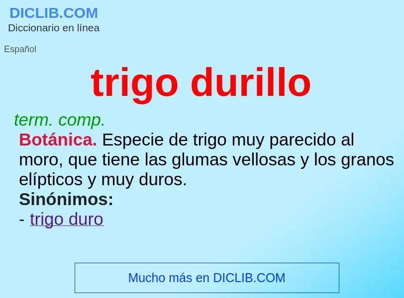 What is trigo durillo - definition