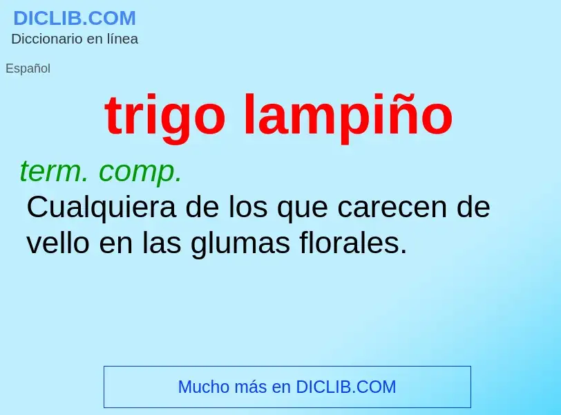 ¿Qué es trigo lampiño? - significado y definición