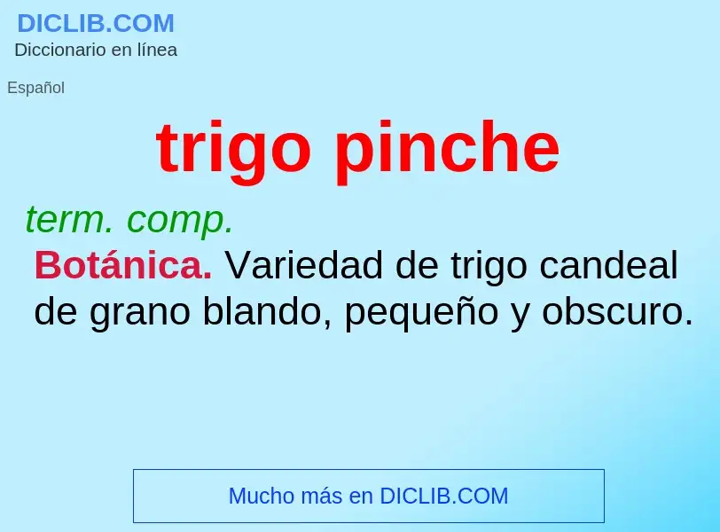 What is trigo pinche - definition