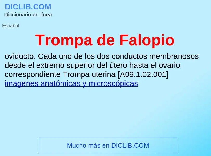 ¿Qué es Trompa de Falopio? - significado y definición