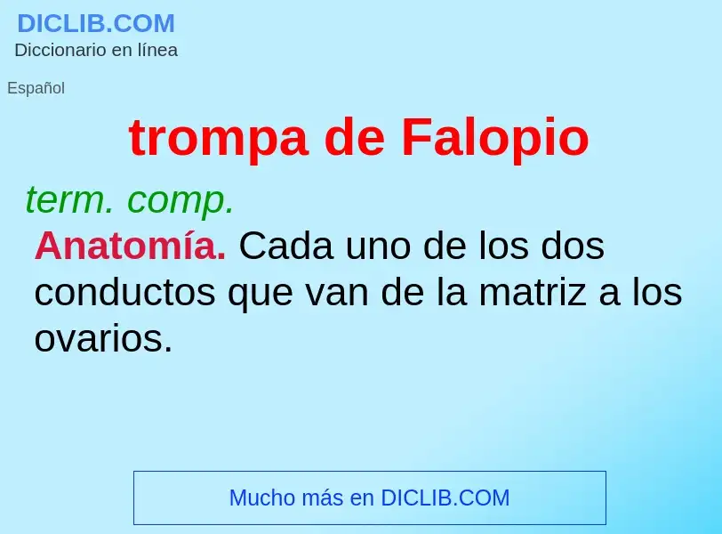 Wat is trompa de Falopio - definition