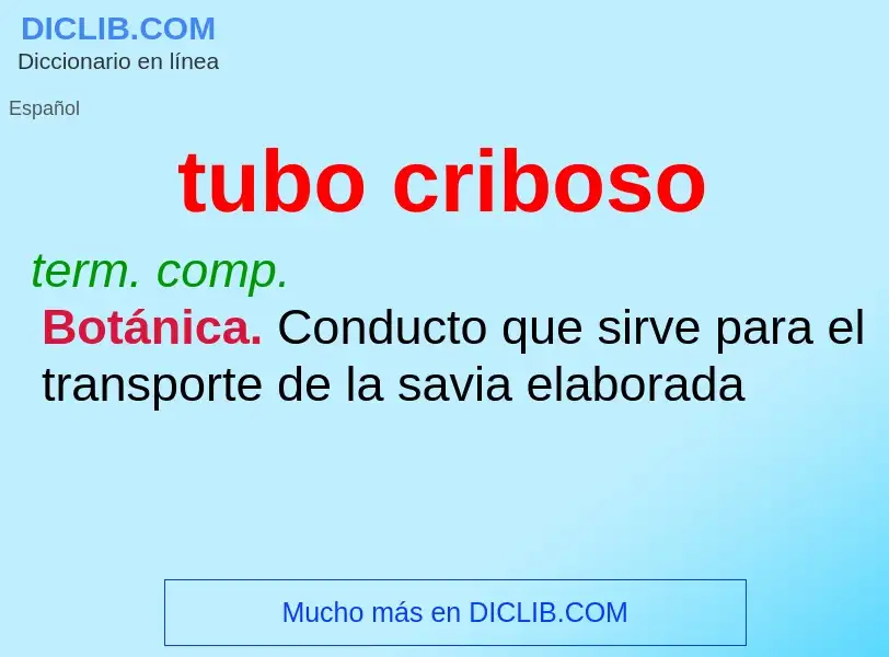 What is tubo criboso - meaning and definition