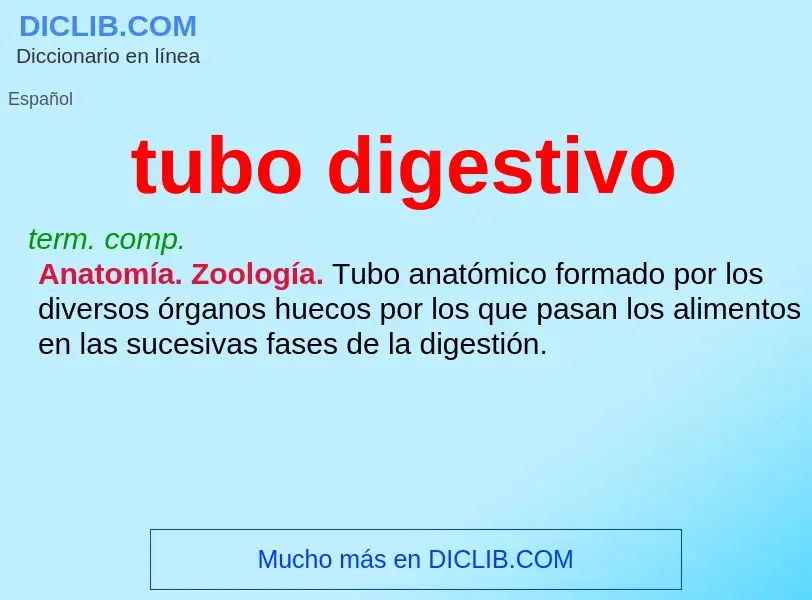 Wat is tubo digestivo - definition