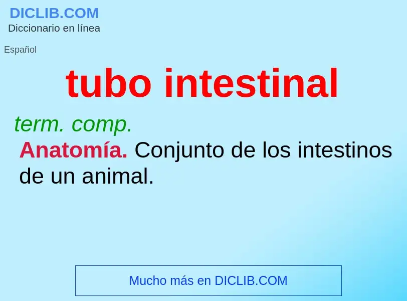 ¿Qué es tubo intestinal? - significado y definición