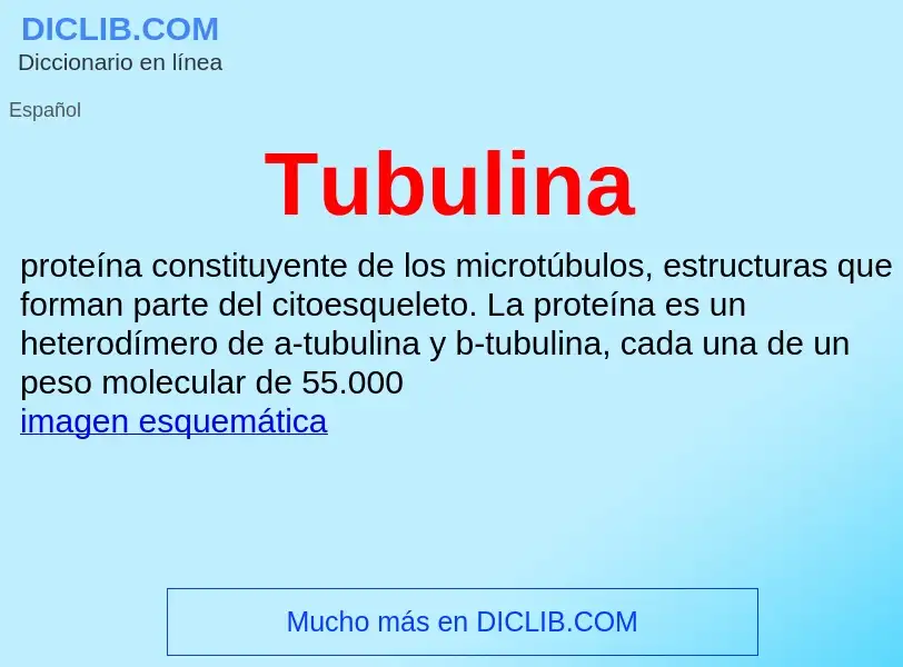 ¿Qué es Tubulina? - significado y definición