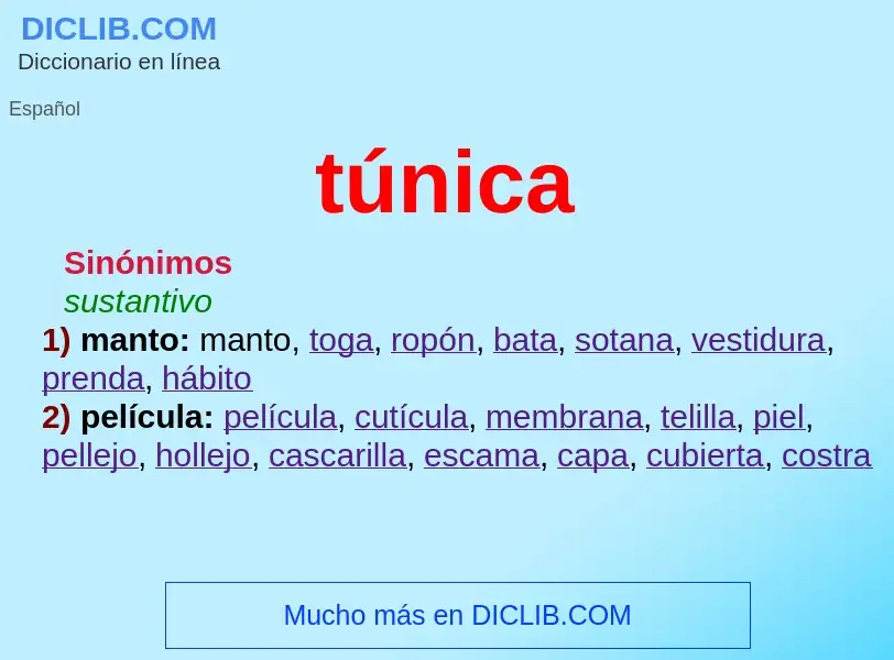 What is túnica - meaning and definition