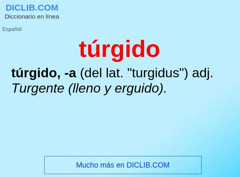 Wat is túrgido - definition