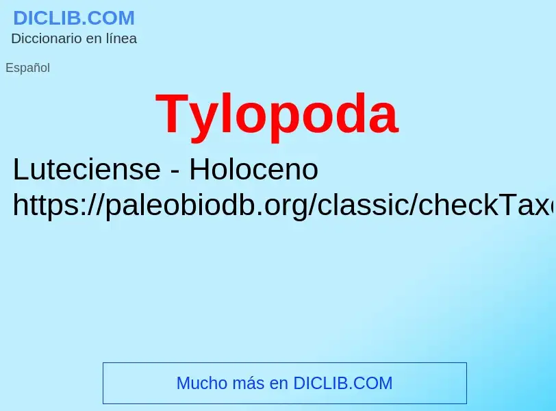 ¿Qué es Tylopoda? - significado y definición