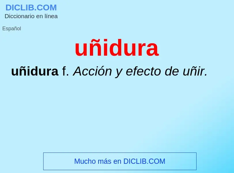 What is uñidura - meaning and definition