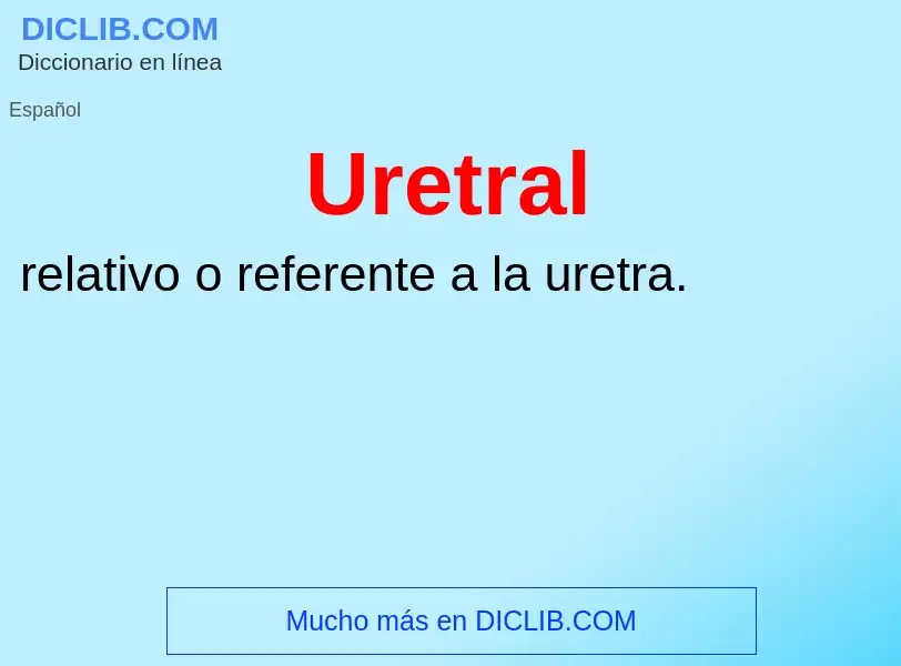 Che cos'è Uretral - definizione