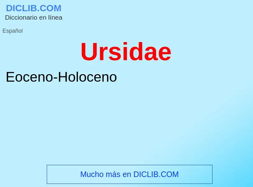 ¿Qué es Ursidae? - significado y definición