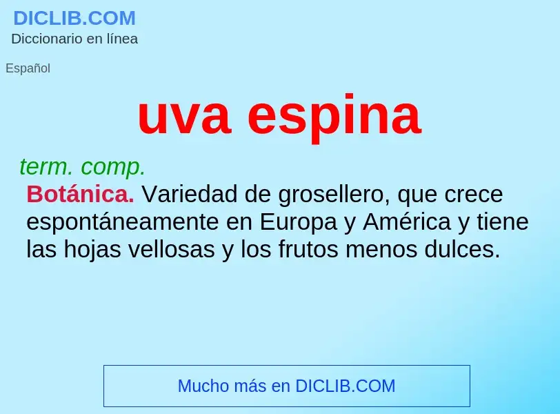 What is uva espina - definition