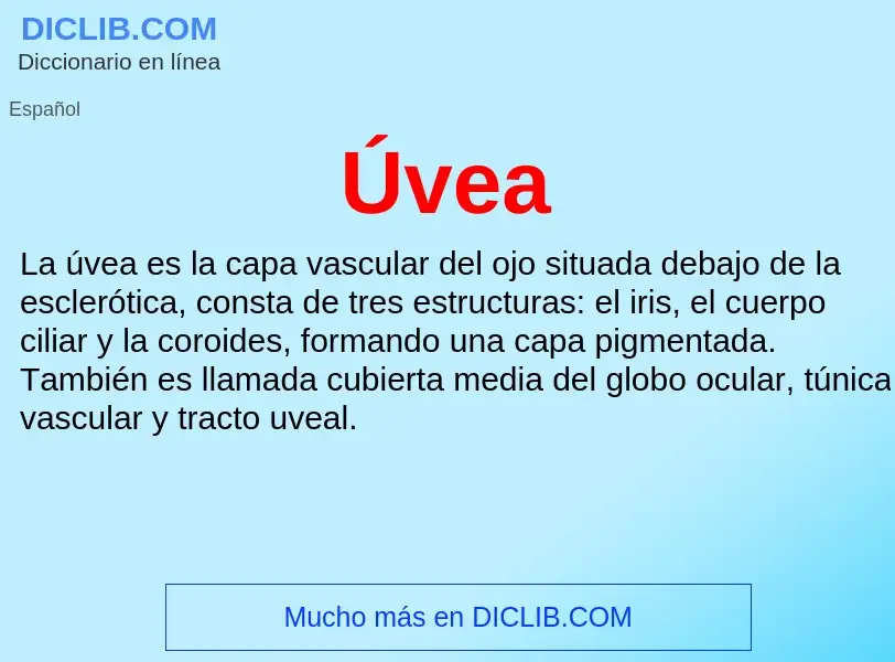 O que é Úvea - definição, significado, conceito