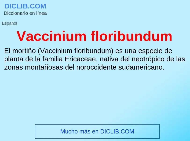 ¿Qué es Vaccinium floribundum? - significado y definición