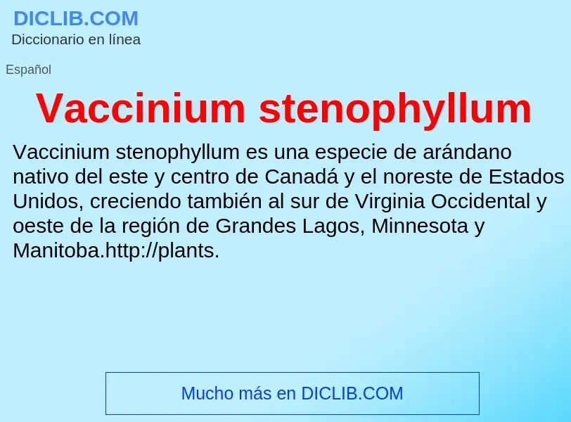 Что такое Vaccinium stenophyllum - определение