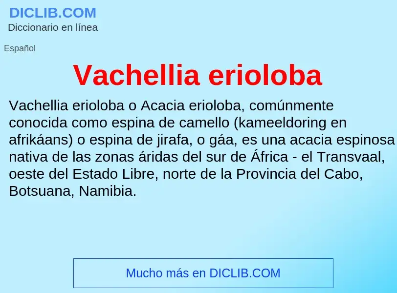 ¿Qué es Vachellia erioloba? - significado y definición