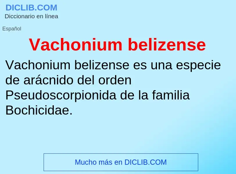 ¿Qué es Vachonium belizense? - significado y definición