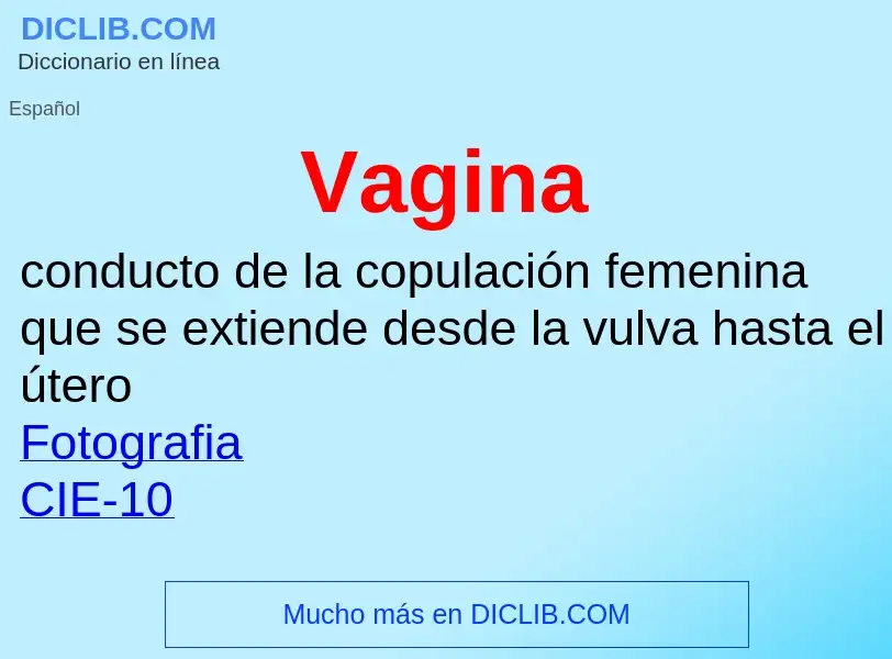 ¿Qué es Vagina? - significado y definición