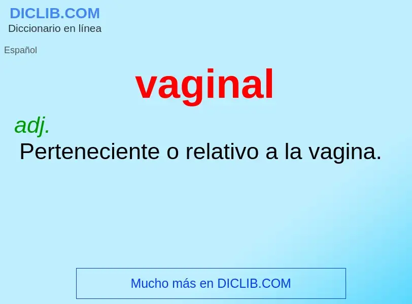 ¿Qué es vaginal? - significado y definición